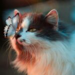 Лучшие маркетинговые инструменты для бизнеса в 2022 году