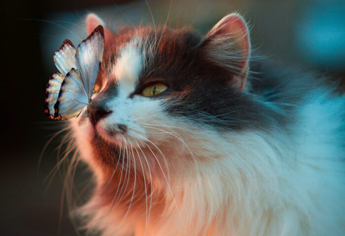 Лучшие маркетинговые инструменты для бизнеса в 2022 году