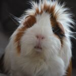 200+ идей и советов по маркетингу и брендингу для развития вашего малого бизнеса