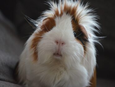 200+ идей и советов по маркетингу и брендингу для развития вашего малого бизнеса