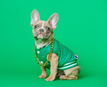 50 бесплатных маркетинговых инструментов, которые может использовать любой малый бизнес