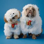 160+ Бесплатные инструменты онлайн-маркетинга для владельцев малого бизнеса