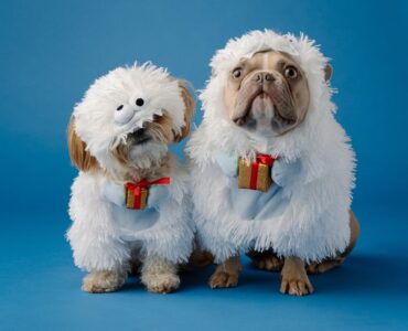 160+ Бесплатные инструменты онлайн-маркетинга для владельцев малого бизнеса