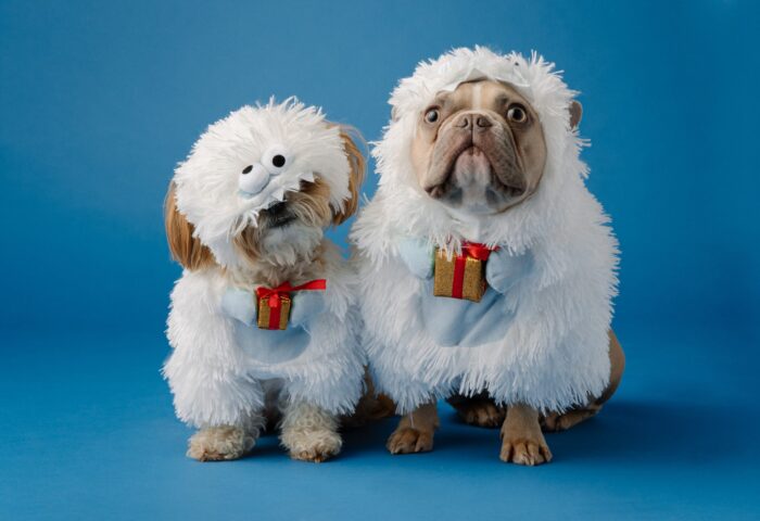 160+ Бесплатные инструменты онлайн-маркетинга для владельцев малого бизнеса