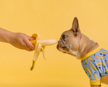 30 SaaS-Инструментов для малого бизнеса