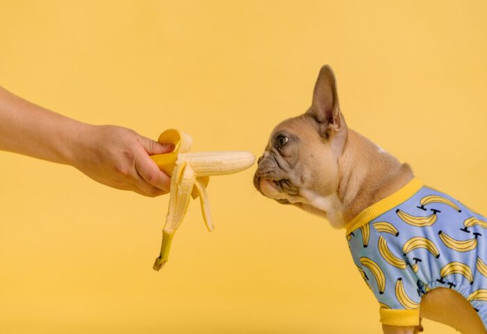 30 SaaS-Инструментов для малого бизнеса