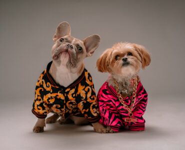 9 лучших плагинов для брандмауэра WordPress