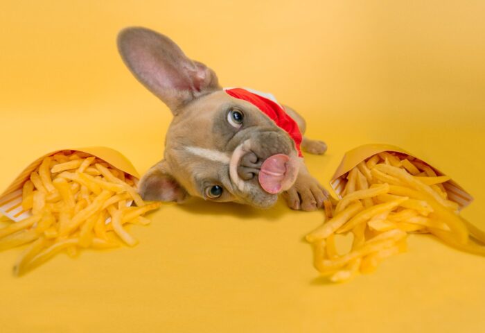 25 Способов рекламы вашего сайта