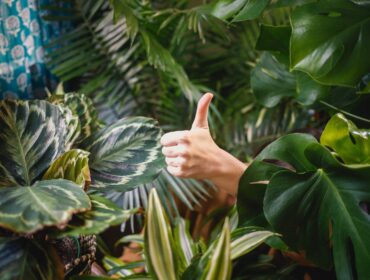 21 проверенная техника оптимизации коэффициента конверсии для повышения продаж