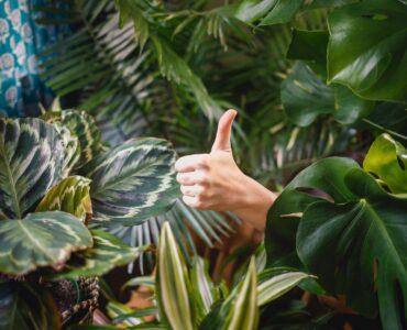 21 проверенная техника оптимизации коэффициента конверсии для повышения продаж