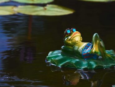 21 инструмент маркетинга для малого бизнеса, который вам необходим в 2022 году