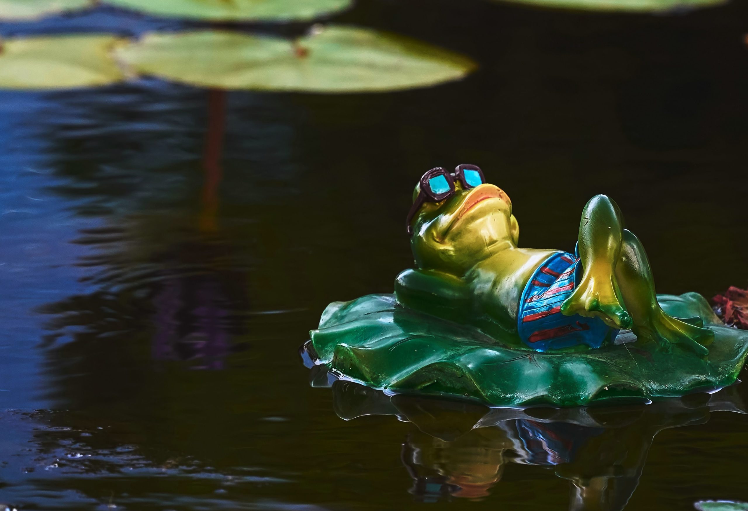 21 инструмент маркетинга для малого бизнеса, который вам необходим в 2022 году