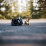 85+ проверенных способов быстрого увеличения списка адресов электронной почты в 2022 году