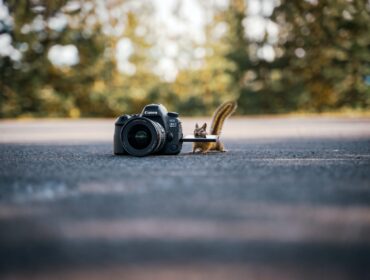 85+ проверенных способов быстрого увеличения списка адресов электронной почты в 2022 году