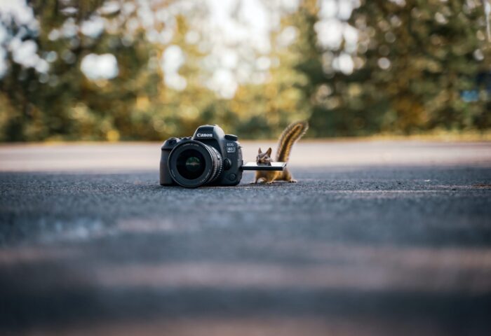 85+ проверенных способов быстрого увеличения списка адресов электронной почты в 2022 году