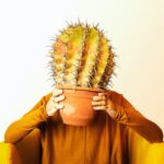 Целевые аудитории Facebook Ads 101: полное руководство