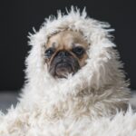 7 лучших плагинов WordPress для отслеживания рейтинга ключевых слов 2022