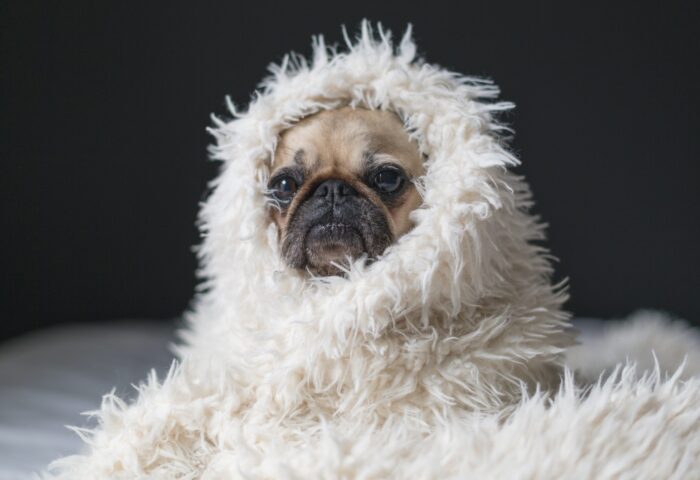 7 лучших плагинов WordPress для отслеживания рейтинга ключевых слов 2022