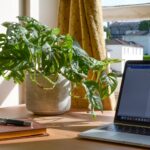 Топ 22 инструментов для работы из дома, облегчающих удаленную работу