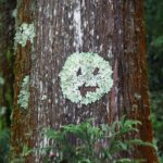 30 инструментов автоматизации социальных сетей для улучшения вашего маркетинга в 2022 году