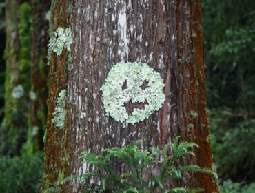 30 инструментов автоматизации социальных сетей для улучшения вашего маркетинга в 2022 году