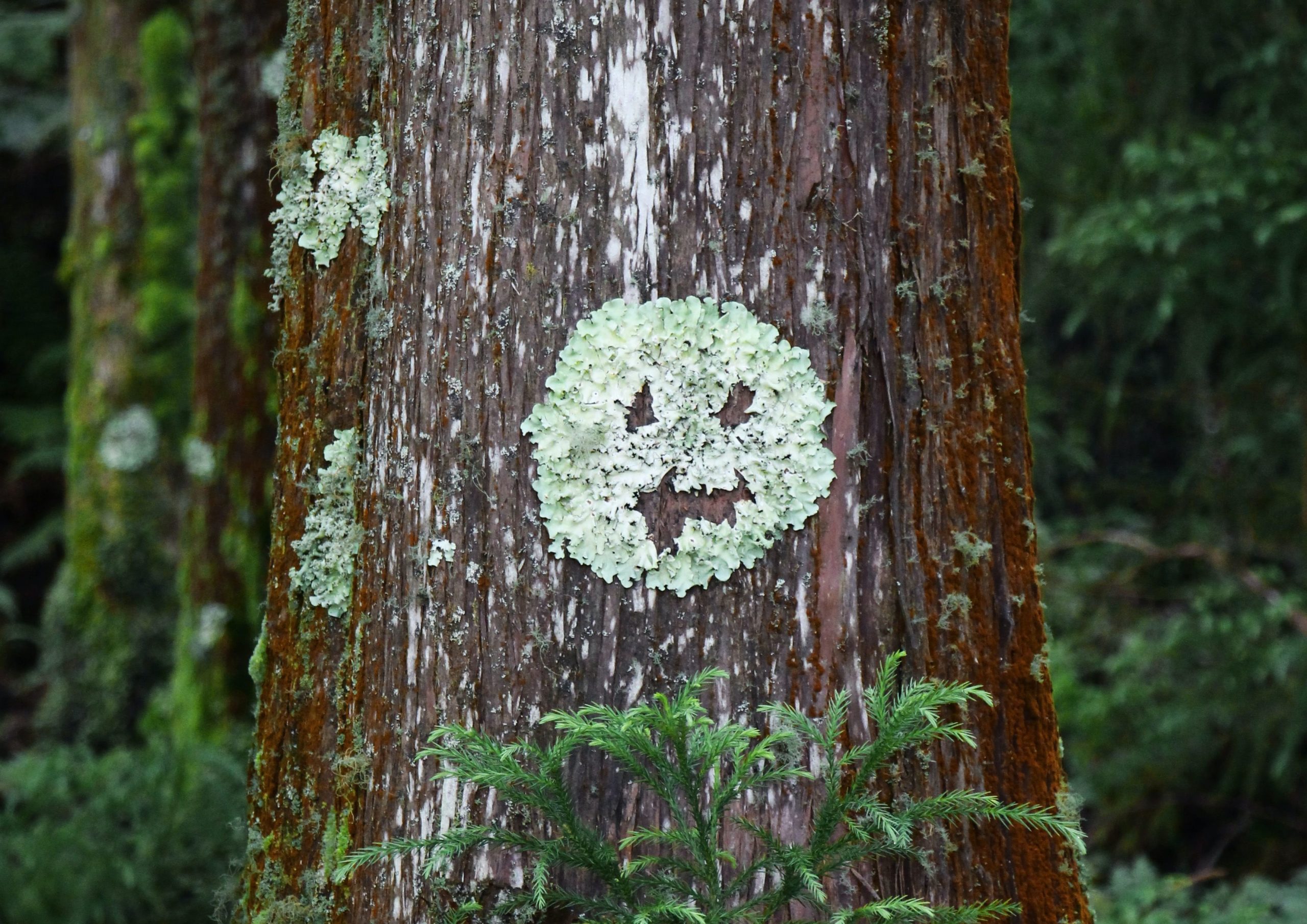30 инструментов автоматизации социальных сетей для улучшения вашего маркетинга в 2022 году