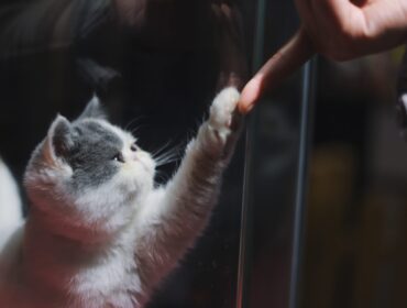 107 обязательных инструментов для развития малого бизнеса в 2020 году