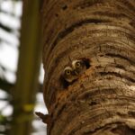 Сравнение 8 лучших инструментов для анализа заголовков (глубокое погружение в то, как их использовать)