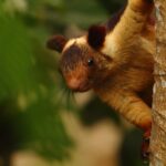 13 лучших инструментов для сканирования уязвимостей на 2022 год