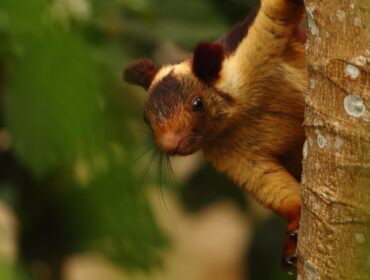 13 лучших инструментов для сканирования уязвимостей на 2022 год