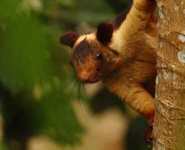 13 лучших инструментов для сканирования уязвимостей на 2022 год