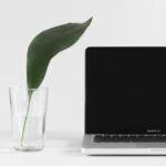 9 лучших инструментов видеомаркетинга для повышения продаж и узнаваемости бренда