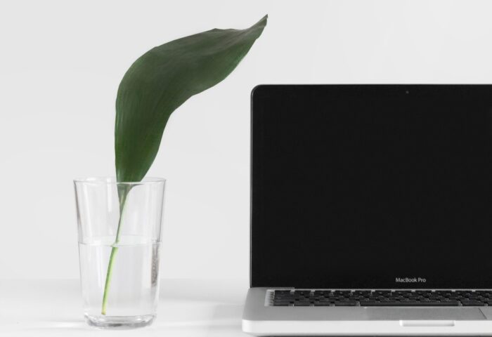 9 лучших инструментов видеомаркетинга для повышения продаж и узнаваемости бренда