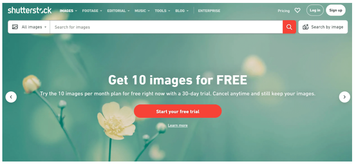 Shutterstock высококачественные изображения