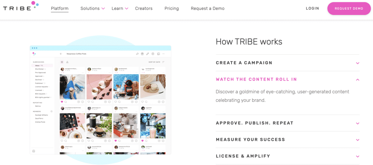 TRIBE influencer marketplace