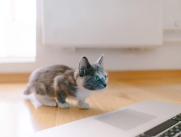 25 лучших программ и инструментов для управления клиентским опытом в 2022 году