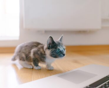 25 лучших программ и инструментов для управления клиентским опытом в 2022 году