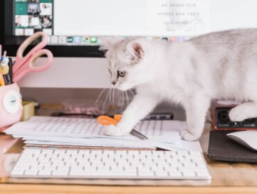 9 лучших приложений для проведения опросов в 2022 году