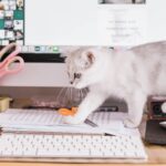 10 программ для управления отзывами для вашего онлайн-бизнеса в 2022 году