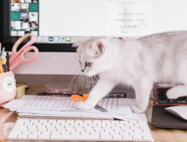 10 программ для управления отзывами для вашего онлайн-бизнеса в 2022 году