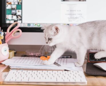 10 программ для управления отзывами для вашего онлайн-бизнеса в 2022 году