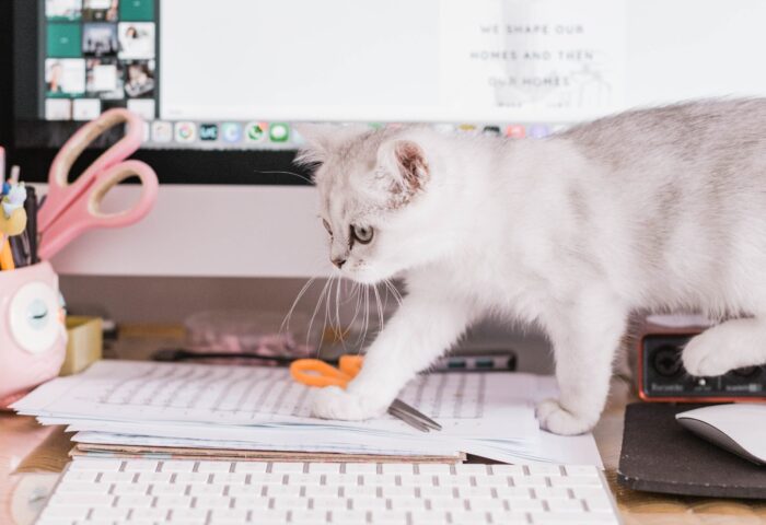 10 программ для управления отзывами для вашего онлайн-бизнеса в 2022 году