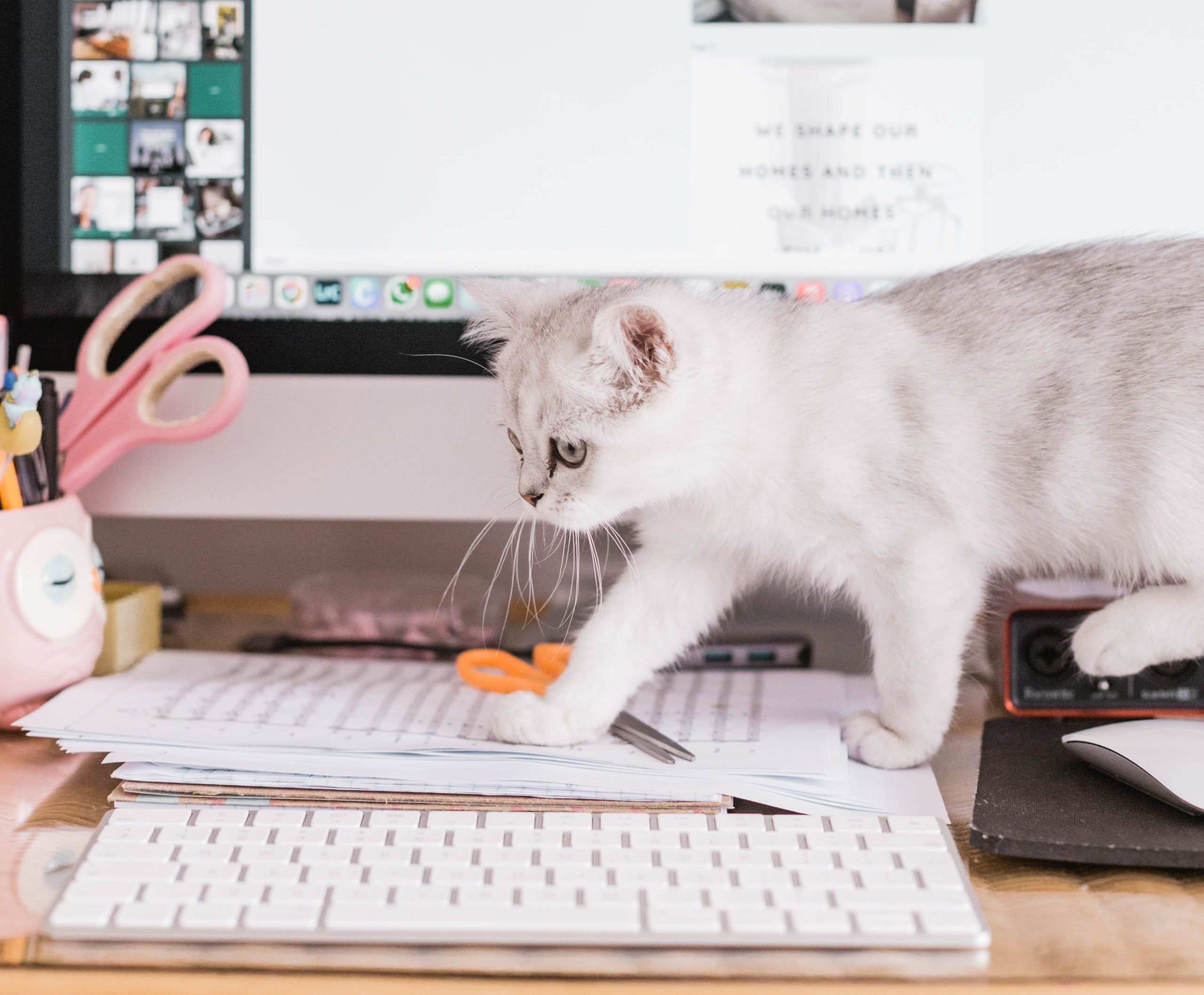 10 программ для управления отзывами для вашего онлайн-бизнеса в 2022 году