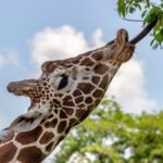 33 проверенных способа увеличить посещаемость сайта