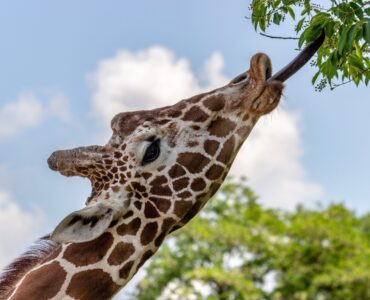 33 проверенных способа увеличить посещаемость сайта
