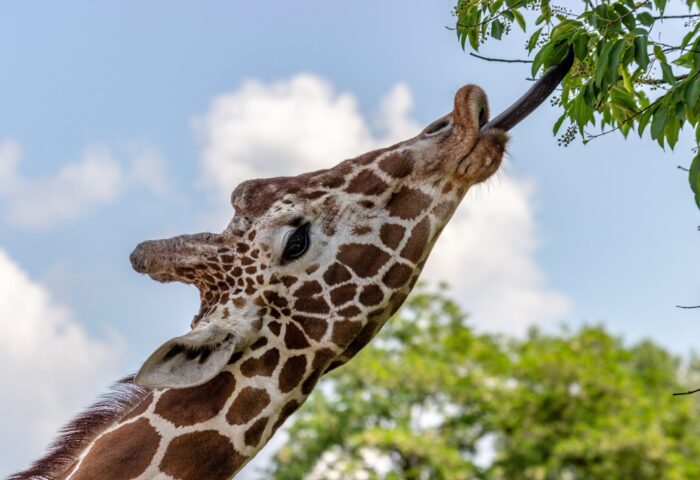 33 проверенных способа увеличить посещаемость сайта