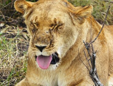 19 лучших маркетинговых стратегий для 2022 года (которые вы можете реально осуществить)