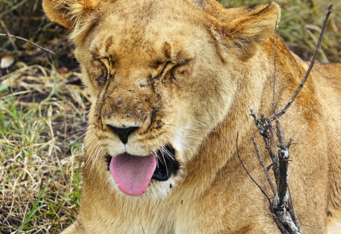 19 лучших маркетинговых стратегий для 2022 года (которые вы можете реально осуществить)