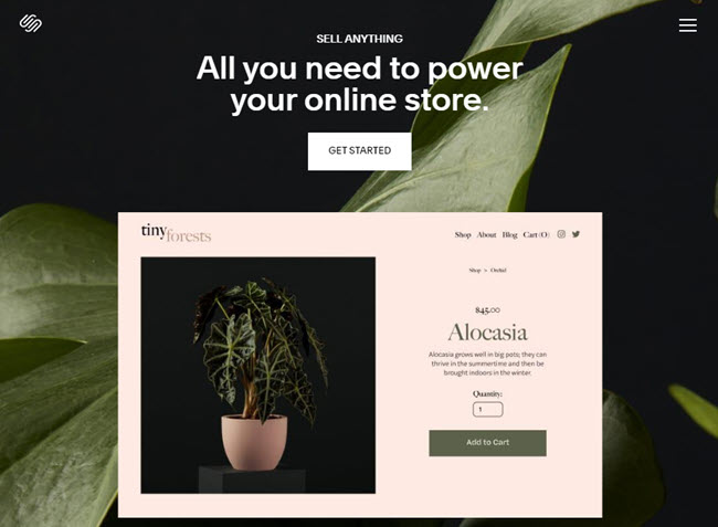 squarespace best platform to sell online