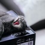 100 инструментов цифрового маркетинга, которые облегчат вам жизнь